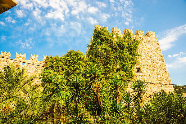 포토 JPG 해외이미지 나무 벽 바다 여행 건축양식 자연 하늘 휴가 실내 손바닥 풍경 사람없음 야외 건물 물 파란색 뷰티 여행객 탑 바위 도시 성 중세 역사 박물관 휴양지 포트 타운 동쪽 칠면조 랜드마크 옛날 튀르키예 해외202309 해외포토 자연요소 식물 건축물 손 건축 아시아 컬러 조류 사람 내부 장소 돌_바위 방향 생태계 파일형식
