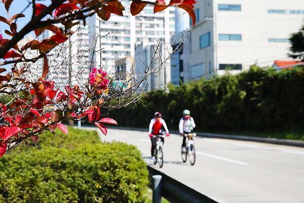 포토 JPG 해외이미지 나무 식물 꽃 도로 길 건축양식 사람없음 자전거 봄 도시 사이클링 해외202309 해외포토 계절 건축 교통시설 바이크 육상스포츠 파일형식