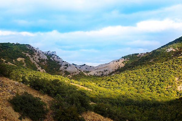 포토 JPG 해외이미지 나무 여행 백그라운드 자연 하늘 산 사람없음 초록색 파란색 절벽 소나무 숲 언덕 그림 암초 절정 산맥 해외202309 해외포토 식물 컬러 생태계 파일형식