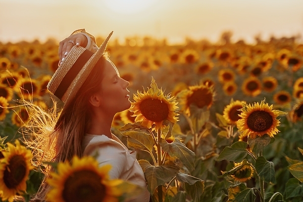 포토 JPG 해외이미지 식물 꽃 행복 밭 농업 자연 하늘 휴식 해바라기 한명 서기 야외 뒷모습 태양 뷰티 농장 노란색 평화 환경 침묵 기쁨 다양 수확 성장 농촌 시골 큼 유기농 생태계 밀짚모자 유지 화창 해외202309 해외포토 자연요소 모자_잡화 1 웰빙 감정 산업 뷰포인트 컬러 다수 컨셉 모션 날씨 사람 소리 크기 파일형식