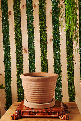 포토 JPG 해외이미지 화분 화초 사람없음 원예 해외202309 해외포토 식물 취미 파일형식