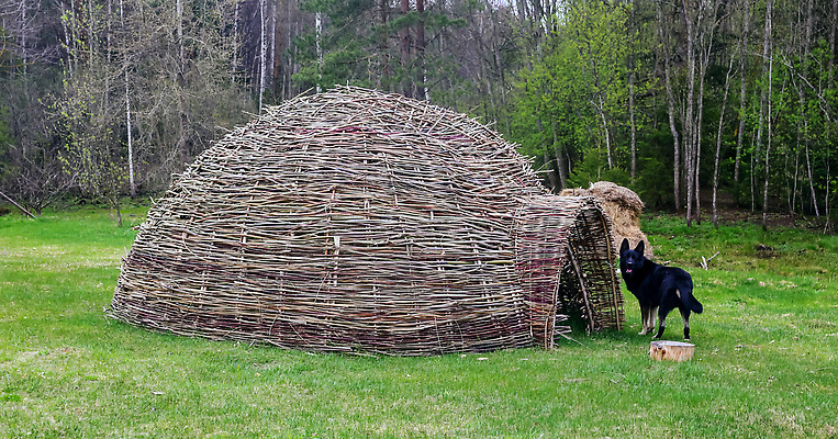 포토 JPG 해외이미지 전통 공원 문화 주택 사람없음 농장 검은색 미국 침묵 시골 기둥 역사 인디언 개 숲 오두막 인도인 진흙 부족 내추럴 옛날 노화 해외202309 해외포토 외국인 공공시설 건축 컬러 컨셉 북아메리카 농업 포유류 아메리카 동양인 건물 소리 파일형식