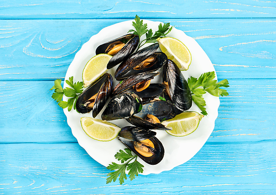 포토 JPG 해외이미지 접시 음식 바다 백그라운드 잎 재료 탁자 조개 귤 파슬리 건강 갑각류 요리 사람없음 목재 세로 파란색 식당 검은색 식사 저녁식사 껍질 흰색 신선 오픈 그룹 사발 맛 정상 작음 배열 레몬 허브 해산물 준비 홍합 라임 점심식사 맛있는 해외202309 해외포토 나무 식물 동물 식기 컬러 가구 컨셉 채소 과일 어패류 상점 사기그릇 크기 파일형식