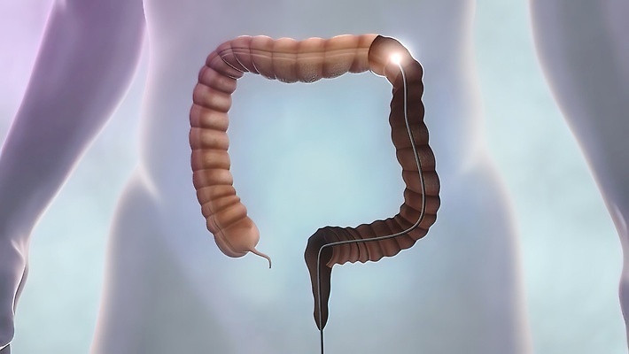 포토 JPG 해외이미지 사람없음 약 3D 성장 생물학 활기 해로움 해외202309 해외포토 교육 컨셉 의학 디지털합성 파일형식