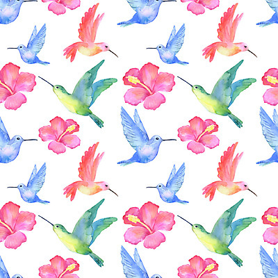 포토 JPG 해외이미지 손 디자인 꽃 야생동물 분홍색 컬러 백그라운드 패턴 날개 일러스트 자연 조류 수채화 미술 사람없음 그래픽 초록색 여름 파란색 컬러풀 뷰티 흰색 신용카드 그리기 작음 스케치 그림 질감 부리 고립 벌새 엘리먼트 이국적 파라다이스 히비스커스 해외202309 해외일러스트 식물 동물 계절 무늬 모션 문화예술 신체부위 금융 크기 생태계 파일형식