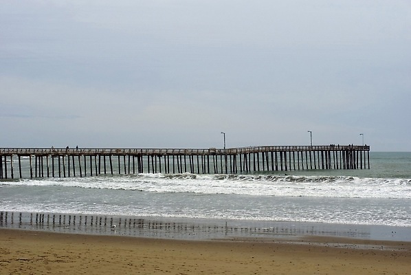 포토 JPG 해외이미지 사람없음 목재 서핑 방파제 캘리포니아 태평양 해외202309 해외포토 나무 공공시설 바다 재료 미국 수상스포츠 파일형식