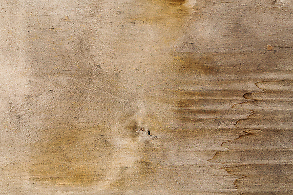 포토 JPG 해외이미지 백그라운드 패턴 자연 탁자 바닥 프레임 건조 사람없음 목재 가로 갈색 우주 공백 판넬 거친 널 천 가득함 질감 내추럴 구식 수목 옛날 합판 해외202309 해외포토 나무 컬러 가구 무늬 재료 직물 생태계 파일형식