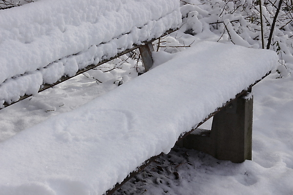 포토 JPG 해외이미지 계절 공원 백그라운드 이동 겨울 벤치 의자 휴식 풍경 사람없음 야외 목재 뷰티 환경 냉동 얼음 침묵 추위 나뭇가지 숲 시원함 오솔길 12월 서리 1월 2월 눈내림 겨울풍경 비어있는 해외202309 해외포토 자연요소 나무 공공시설 길 가구 컨셉 재료 눈_날씨 소리 날짜 파일형식