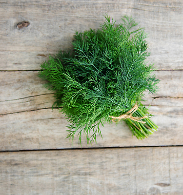 포토 JPG 해외이미지 식물 배너 음식 백그라운드 다이어트 채소 텍스트 양파 오이 주택 프레임 건강 마늘 사람없음 목재 초록색 뷰티 농장 봄 수확 시골 기록 신선 계획 상추 자르기 허브 향신료 유기농 질감 반죽 시금치 바질 내추럴 딜 숙성 온실 채식주의자 핸드메이드 많음 해외202309 해외포토 나무 웰빙 계절 컬러 컨셉 농업 재료 모션 건물 채식 향미료 파일형식