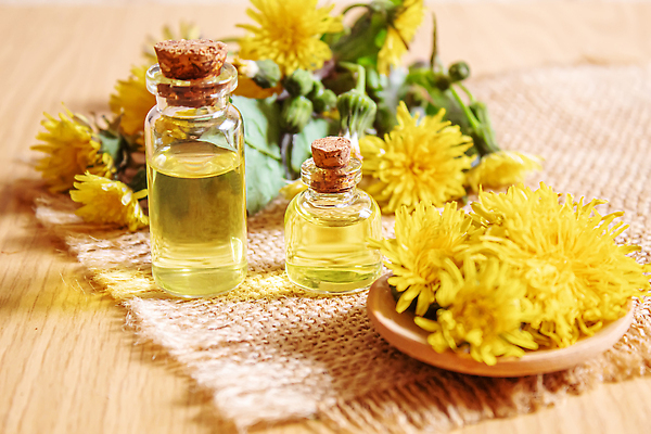 포토 JPG 해외이미지 식물 꽃 줄 음식 잎 꽃무늬 자연 건강 사람없음 초록색 약 보라색 봄 신선 항아리 닫기 민들레 민트 허브 향수 유기농 생강 해결 금잔화 오레가노 채식주의자 비건 해외202309 해외포토 웰빙 계절 컬러 무늬 채소 의학 모션 화장품 도자기 생태계 채식 파일형식