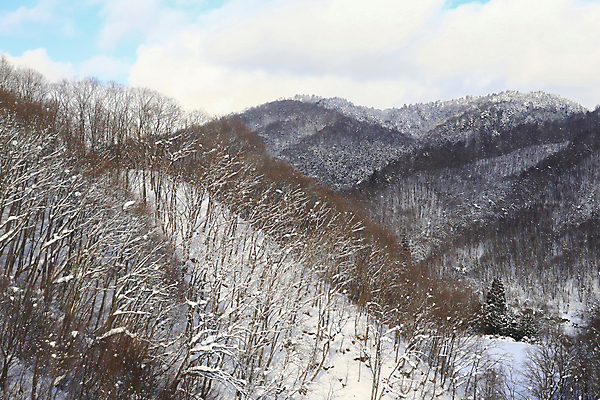 포토 JPG 해외이미지 나무 겨울 포장 자연 하늘 산 파노라마 풍경 사람없음 가로 파란색 컬러풀 일본 냉동 얼음 추위 흰색 시골 신선 소나무 숲 언덕 조경 흐림 1월 2월 카피스페이스 해외202309 해외포토 자연요소 식물 계절 아시아 컬러 날씨 촬영기법 공백 날짜 생태계 파일형식