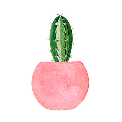 포토 JPG 해외이미지 식물 디자인 화초 분홍색 컬러 백그라운드 잎 꽃무늬 일러스트 자연 멕시코 선인장 주택 실내 미술 사람없음 장식 초록색 뷰티 정원 봄 사막 흰색 도자기 신용카드 가시 냄비 심볼 그림 손그림 내추럴 고립 다육식물 이국적 그리너리 해외202309 해외일러스트 계절 꽃 북아메리카 무늬 문화예술 내부 건물 금융 솥 생태계 파일형식 트랜드컬러