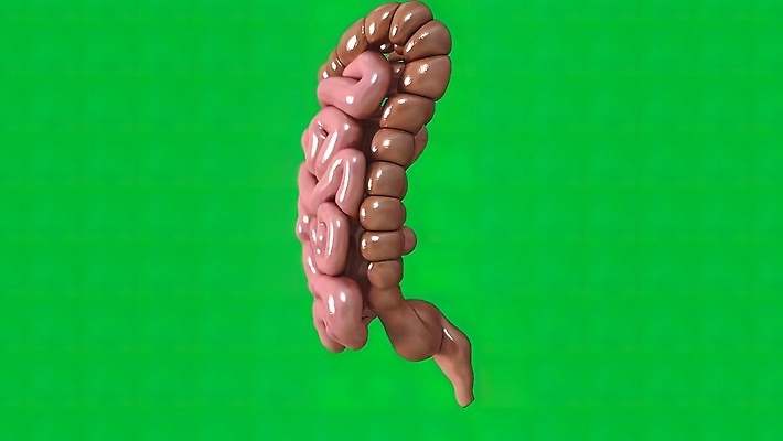 포토 JPG 해외이미지 과학 백그라운드 일러스트 해부 추상 건강 사람 사람없음 내부 치료 약 인포그래픽 고통 오르간 질병 작음 비만 생물학 시스템 외과 축적 돌봄 복근 염증 해외202309 해외일러스트 교육 감정 무늬 의학 모션 근육 병원 건반악기 크기 몸매 파일형식