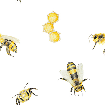 JPG 해외이미지 일러스트 사람없음 달콤 꿀벌 꿀 벌집 허니콤 해외202309 해외일러스트 모양 맛 벌_곤충 파일형식