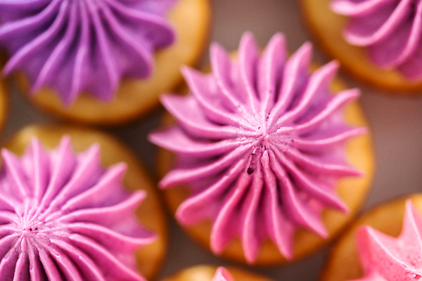 포토 JPG 해외이미지 분홍색 사람없음 장식 하이앵글 달콤 컵케이크 휘핑크림 해외202309 해외포토 뷰포인트 컬러 케이크 맛 크림 휘핑 파일형식