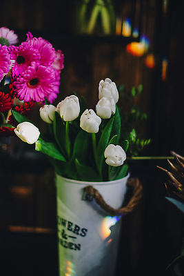 포토 JPG 해외이미지 식물 디자인 계절 기념일 꽃잎 꽃 컬러 꽃다발 결혼 백그라운드 잎 꽃무늬 자연 결혼식 발렌타인데이 건강 선물 사랑 취미 사람없음 장식 초록색 뷰티 정원 꽃병 봄 낭만 튤립 수확 벚꽃 흰색 축하 죽음 신선 잡기 잔치 향기 냄새 열정 내추럴 장례 해외202309 해외포토 감정 컨셉 무늬 농업 모션 데이이벤트 이벤트 생태계 파일형식