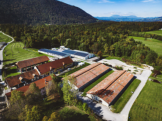 포토 JPG 해외이미지 공공시설 산업 건축양식 공장 하늘 지붕 주택 세포 사람없음 건물 초록색 경제 파란색 빛 햇빛 태양 환경 힘 재활용 발전기 에너지 판넬 그린에너지 옥상 에코 생태계 투자 상업 태양에너지 시스템 세대 유지 패널 혁명 드론 생태학 설치 조감도 공급 해외202309 해외포토 자연요소 건축물 교육 건축 컬러 컨셉 비즈니스 공업 발전소 시설 친환경 파일형식