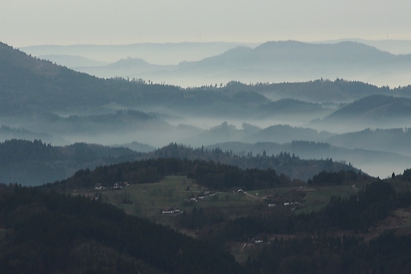 포토 JPG 해외이미지 나무 도로 선 컬러 여행 밭 농업 교통시설 모션 자동차 자연 하늘 사람없음 야외 초록색 파란색 햇빛 태양 환경 맑음 일몰 운전 자유 시골 고속도로 땅 속도 장면 넘어짐 루트 방법 수평선 비어있는 해외202309 해외포토 자연요소 식물 산업 길 육상교통 교통 컨셉 날씨 노을 시설 생태계 파일형식