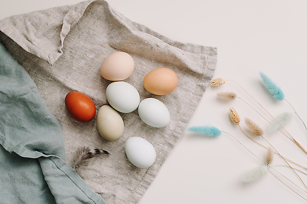 포토 JPG 해외이미지 전통 계절 행복 리본 분홍색 컨셉 탁자 휴가 디저트 기념 사랑 요리 사람없음 장식 파란색 컬러풀 케이크 얼음 축제 봄 나뭇가지 시골 신선 신용카드 달콤 4월 굽기 버드나무 심볼 부활절계란 내추럴 페스츄리 핸드메이드 카피스페이스 맛있는 해외202309 해외포토 자연요소 나무 감정 음식 빵 컬러 가구 부활절 금융 계란 공백 날짜 맛 구이 파일형식