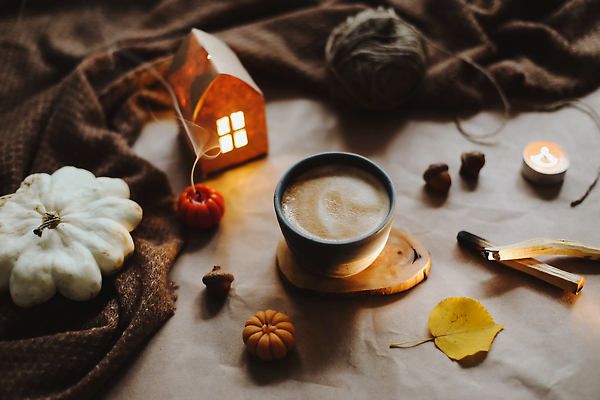 포토 JPG 해외이미지 전통 디자인 계절 커피 컨셉 잎 오렌지 탁자 호박 휴가 휴식 주택 따뜻함 사람없음 내부 장식 컵 노란색 축제 침묵 방 견과류 가을 시골 축하 직물 인사 신용카드 뜨개질 9월 배열 추수감사절 10월 내추럴 구성 정물화 플랫레이 해외202309 해외포토 식물 식기 기독교 음료 컬러 가구 채소 과일 취미 건물 금융 소리 예절 날짜 플랫 그림 파일형식