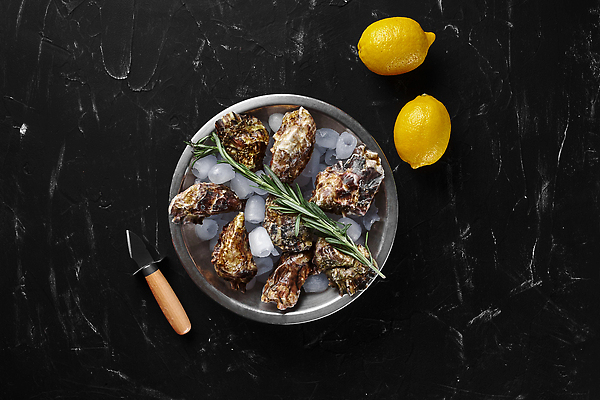 포토 JPG 해외이미지 검은배경 사람없음 얼음 굴 신선 칼 레몬 대리석 로즈메리 스탠그릇 카피스페이스 해외202309 해외포토 자연요소 그릇 백그라운드 과일 재료 어패류 검은색 공백 허브 파일형식