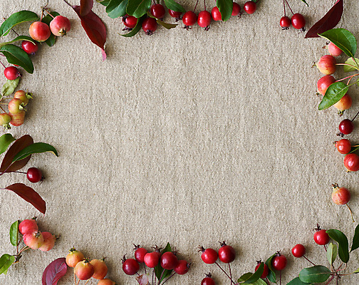 포토 JPG 해외이미지 식물 디자인 계절 열매 백그라운드 컨셉 잎 꽃무늬 패턴 자연 벽지 탁자 휴가 프레임 미술 사람없음 빨간색 초록색 갈색 유행 수확 직물 소나무 면 플랫 사과 숲 11월 책상 질감 레이아웃 위치 추수감사절 10월 구성 스타일 카피스페이스 국경 해외202309 해외포토 나무 꽃 기독교 컬러 가구 무늬 농업 과일 문화예술 공백 날짜 생태계 파일형식