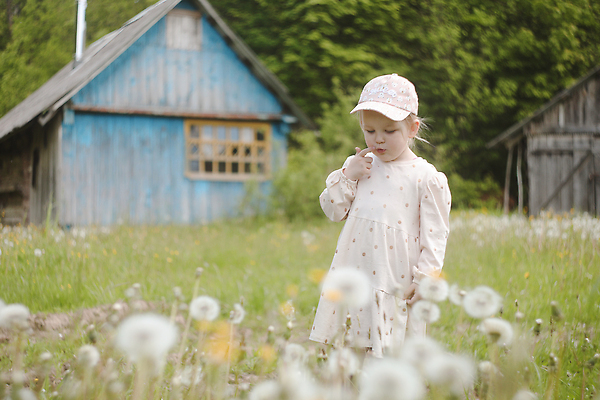 포토 JPG 해외이미지 백인 라이프스타일 공원 여자 꽃 딸 행복 감정 어린이 밭 가족 자연 놀이 휴식 건강 한명 야외 초록색 여름 햇빛 뷰티 정원 맑음 봄 기쁨 아기 달콤 작음 민들레 불기 솜털 걸음마 돌봄 천진난만 해외202309 해외포토 서양인 식물 1 계절 공공시설 컬러 컨셉 농업 관계 모션 날씨 사람 생활 태양 맛 크기 생태계 파일형식