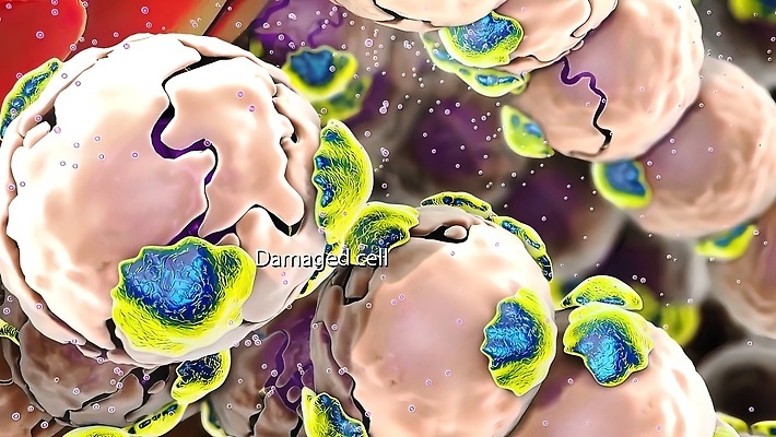 포토 JPG 해외이미지 과학 컨셉 일러스트 세포 실내 사람 사람없음 치료 빨간색 약 3D 손상 대접 질병 위험 피부 크림 순환 함선 상업 감염 미생물 테라피 정맥 방법 해외202309 해외일러스트 컬러 배_교통 의학 모션 생물 내부 신체부위 뷰티 디지털합성 혈관 파일형식