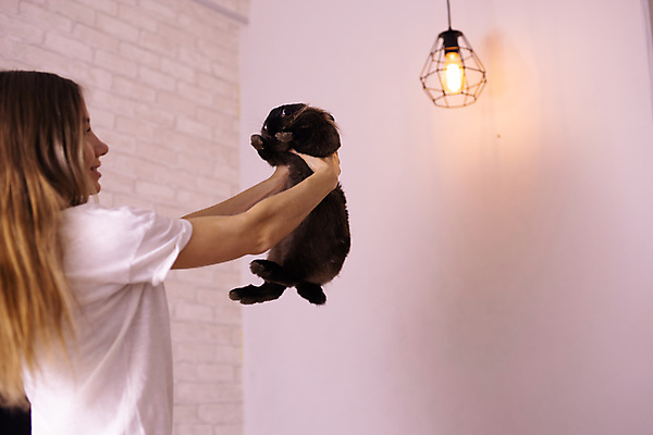 포토 JPG 해외이미지 한마리 여자 포유류 실내 한명 들기 상반신 성인 옆모습 반려동물 갈색 토끼 작음 돌봄 성인여자한명만 해외202309 해외포토 동물 1 뷰포인트 컬러 모션 사람 내부 크기 여자한명만 성인여자만 파일형식