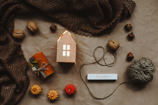 포토 JPG 해외이미지 전통 디자인 계절 컨셉 단풍 잎 오렌지 호박 휴가 휴식 주택 따뜻함 사람없음 내부 장식 태양 노란색 축제 침묵 방 견과류 수확 가을 시골 축하 직물 인사 신용카드 뜨개질 9월 11월 배열 니트 추수감사절 10월 내추럴 구성 플랫레이 해외202309 해외포토 자연요소 식물 기독교 컬러 상의 농업 채소 과일 취미 건물 금융 소리 예절 날짜 플랫 파일형식