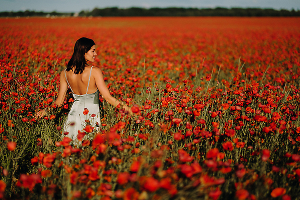 포토 JPG 해외이미지 여자 백그라운드 꽃밭 팔벌리기 한명 상반신 성인 뒷모습 빨간색 화려 양귀비 성인여자한명만 해외202309 해외포토 1 꽃 뷰포인트 컬러 컨셉 모션 사람 여자한명만 성인여자만 파일형식