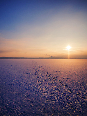 포토 JPG 해외이미지 계절 실루엣 바다 여행 백그라운드 겨울 자연 벽지 하늘 아침 휴가 사람없음 야외 물 강 컬러풀 햇빛 태양 뷰티 반사 일출 냉동 얼음 황혼 일몰 새벽 사막 추위 흰색 황무지 저녁 숲 남극 북극 서리 장면 북쪽 파라다이스 해외202309 해외포토 주간 자연요소 컬러 촬영기법 노을 야간 극지방 방향 생태계 파일형식
