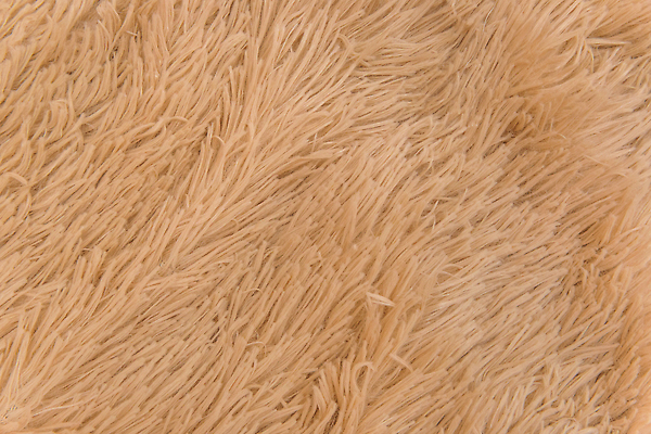 포토 JPG 해외이미지 동물 디자인 옷 야생동물 컬러 백그라운드 겨울 패턴 자연 벽지 표면 추상 털 따뜻함 사람없음 장식 갈색 유행 쌓기 카펫 코트 직물 모피 피부 묘사 질감 부드러움 섬유 솜털 내추럴 양모 인공 해외202309 해외포토 계절 무늬 모션 신체부위 외투 감각 생태계 파일형식