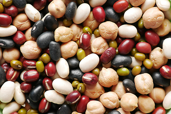 포토 JPG 해외이미지 음식 컨셉 자연 콩 건강 사람없음 초록색 갈색 수확 시장 맥박 낟알 수집 질감 완두콩 모음 건강식 내추럴 단백질 생식 비건 해외202309 해외포토 컬러 농업 의학 곡류 한글 생태계 영양소 채식주의자 파일형식