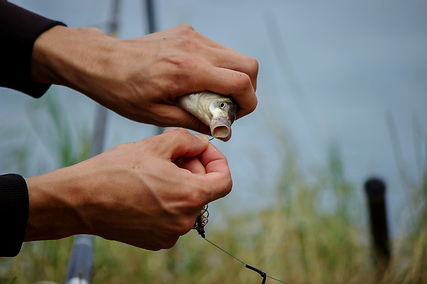포토 JPG 해외이미지 1 계절 남자 호수 스포츠 백그라운드 자연 낚시 휴가 휴식 관리 어류 어업 사람 취미 사람없음 야외 물 강 햇빛 일출 맑음 침묵 고요 황혼 일몰 새벽 장비 연못 잡기 보트 던지기 황금 닫기 어부 낚시꾼 기어 미끼 민물 해외202309 해외포토 자연요소 직업 산업 컨셉 배_교통 모션 레저 날씨 태양 노을 수중동물 소리 생태계 파일형식