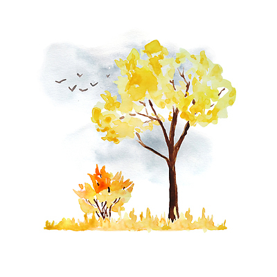 포토 JPG 해외이미지 나무 식물 디자인 계절 공원 컬러 단풍 잎 오렌지 일러스트 자연 조류 하늘 사람없음 야외 목재 장식 빨간색 노란색 환경 정원 나뭇가지 황무지 숲 9월 11월 수집 그림 손그림 10월 고립 삼림지대 생태학 엘리먼트 해외202309 해외일러스트 동물 공공시설 교육 과일 재료 날짜 생태계 파일형식