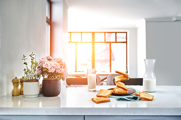 포토 JPG 해외이미지 식재료 창문 사람없음 햇빛 꽃병 우유 아침식사 식빵 토스트 해외202309 해외포토 꽃 빵 유제품 태양 식사 파일형식