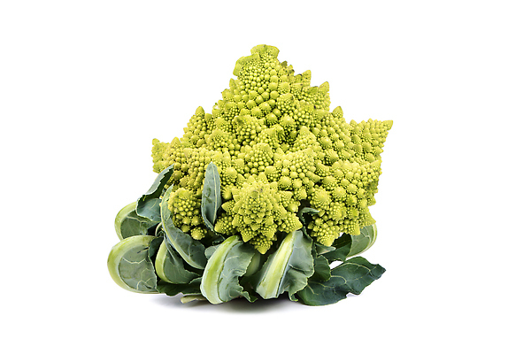 포토 JPG 해외이미지 음식 컬러 백그라운드 잎 농업 채소 과일 재료 건강 사람없음 초록색 흰색 신선 브로콜리 먹기 가득함 오브젝트 싱글 유기농 양배추 날것 고립 채식주의자 해외202309 해외포토 식물 웰빙 산업 모션 채식 파일형식