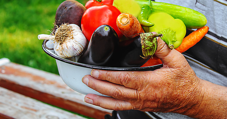 포토 JPG 해외이미지 식물 손 배너 어린이 음식 컬러 백그라운드 잎 농업 토마토 채소 과일 자연 건강 사람 사람없음 야외 초록색 농작물 상자 농장 정원 봄 당근 수확 성장 아기 신선 잡기 시장 농부 수집 먹기 유기농 원예 날것 내추럴 숙성 원예사 채식주의자 카피스페이스 세련 해외202309 해외포토 직업 웰빙 계절 산업 모션 뿌리채소 취미 신체부위 공백 생태계 채식 파일형식