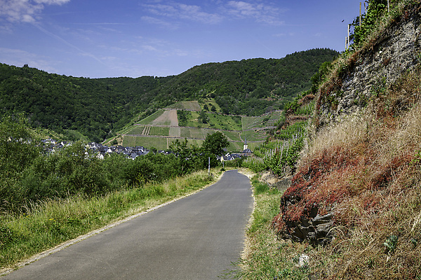 포토 JPG 해외이미지 나무 문화 도로 여행 건축양식 자연 하늘 산 주택 독일 풍경 사람없음 빨간색 초록색 여름 파란색 교회 탑 흰색 시골 숲 스카이라인 내추럴 해외202309 해외포토 식물 건축물 계절 건축 유럽 길 컬러 종교건축 교통시설 건물 생태계 파일형식