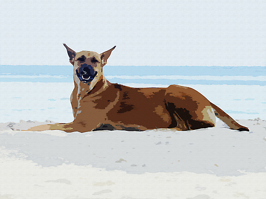 포토 JPG 해외이미지 행복 실루엣 컬러 백그라운드 컨셉 패턴 포옹 벽지 추상 아이디어 미소 사람없음 반려동물 평화 귀여움 페인트 분노 개 강아지 기름 래브라도리트리버 그림 질감 캔버스 육식동물 순록 유래 지능 특별함 카피스페이스 효과 해외202309 해외포토 동물 감정 음식 무늬 포유류 안기 촬영기법 표정 공백 리트리버 파일형식