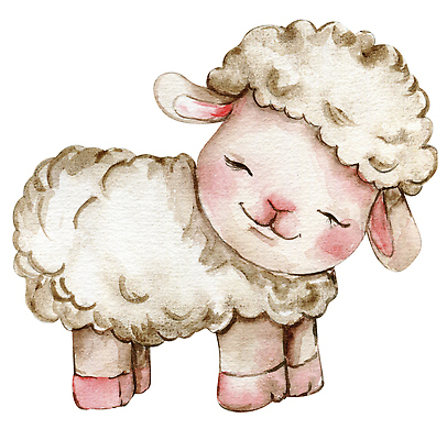 JPG 해외이미지 한마리 일러스트 사람없음 양 해외202309 해외일러스트 1 포유류 파일형식