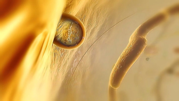 포토 JPG 해외이미지 디자인 과학 컨셉 패턴 인터넷 신체 일러스트 추상 미래 세포 건강 병원 실험 사람 사람없음 그래픽 파란색 약 건강관리 디지털 진화 바이러스 암호 DNA 생명공학 생물학 함선 원자 염색체 시스템 암 바이오 엘리먼트 인터페이스 가상 코로나바이러스 해외202309 해외일러스트 교육 컬러 무늬 배_교통 의학 관리 질병 소방 파일형식