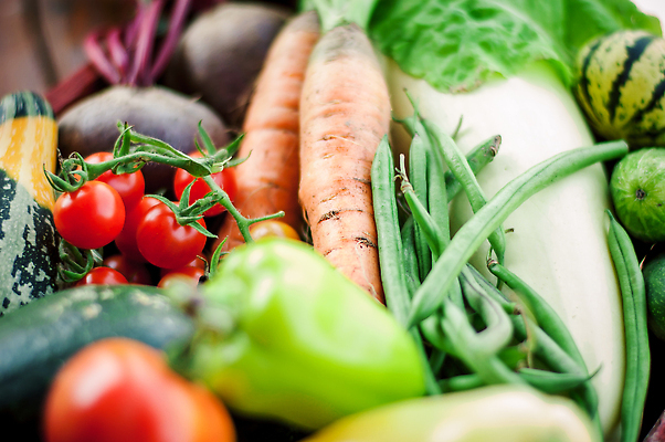 포토 JPG 해외이미지 식물 음식 컬러 백그라운드 잎 농업 다이어트 토마토 채소 과일 자연 건강 종류 사람없음 목재 빨간색 초록색 상자 농장 바구니 마을 정원 당근 샐러드 수확 성장 시골 침대 신선 농부 먹기 유기농 원예 날것 후추 내추럴 밭일 숙성 채식주의자 해외202309 해외포토 나무 직업 웰빙 산업 가구 재료 모션 뿌리채소 취미 향신료 생태계 채식 파일형식