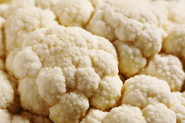 포토 JPG 해외이미지 스튜디오촬영 음식 백그라운드 농업 다이어트 채소 재료 건강 사람없음 식사 흰색 신선 맛 유기농 질감 양배추 날것 건강식 식용 채식주의자 비건 맛있는 해외202309 해외포토 웰빙 산업 컬러 컨셉 실내 채식 파일형식