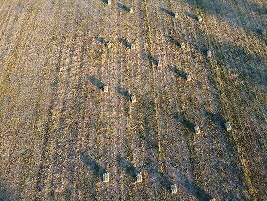 포토 JPG 해외이미지 밭 농업 자연 따뜻함 안테나 파노라마 풍경 사람없음 야외 농작물 뷰티 농경지 평화 침묵 일몰 수확 성장 전원 시골 업무 황금 농부 큼 유기농 심플 유지 내추럴 드론 밭일 해외202309 해외포토 직업 웰빙 산업 컨셉 통신 촬영기법 농장 노을 소리 작업 전기에너지 크기 생태계 파일형식