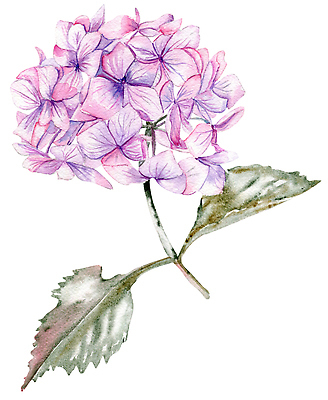 포토 JPG 해외이미지 식물 템플릿 기념일 꽃잎 줄기 꽃다발 결혼 일러스트 공 벽지 결혼식 추상 프레임 미술 사람없음 그래픽 세트 장미 라벨 보라색 낭만 수확 흰색 인사 원형 생일 화려 날짜 클래식 우아함 수집 그림 복고 초대 손그림 고립 구성 생태학 엘리먼트 파스텔톤 회복 국경 해외202309 해외일러스트 도형 교육 꽃 컬러 컨셉 무늬 농업 문화예술 이벤트 예절 파일형식