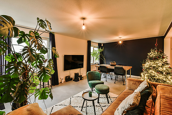 포토 JPG 해외이미지 식물 쿠션 의자 창문 식탁 탁자 조명 사람없음 인테리어 소파 크리스마스트리 텔레비전 카펫 공간 방 커튼 해외202309 해외포토 디자인 가구 크리스마스 전자제품 파일형식