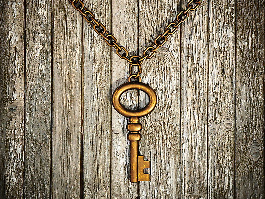 포토 JPG 해외이미지 컨셉 비즈니스 탁자 성공 열쇠 주택 골격 안전 사람없음 목재 3D 문 금속 수확 골동품 흰색 오픈 화려 황금 닫기 신비 비밀 철 오브젝트 부식 싱글 복고 잠금 보안 청동 보물 놋쇠 빅토리아 옛날 접근 해외202309 해외포토 나무 컬러 가구 농업 재료 모션 재질 건물 디지털합성 파일형식