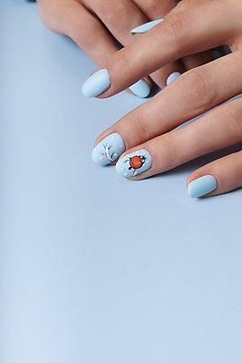 포토 JPG 해외이미지 직업 라이프스타일 손 디자인 여자 컬러 백그라운드 크리스마스 겨울 손가락 새로움 따뜻함 관리 미술 사람없음 세로 파란색 뷰티 유행 상점 추위 흰색 못 우아함 손톱관리 손톱 연도 스웨터 그림 광택 돌봄 자외선 스타일 해외202309 해외포토 계절 기념일 컨셉 상의 모션 문화예술 사람 생활 신체부위 공구 네일아트 파일형식